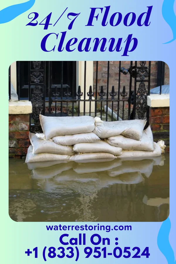 24/7 Flood Cleanup in Belington, WV