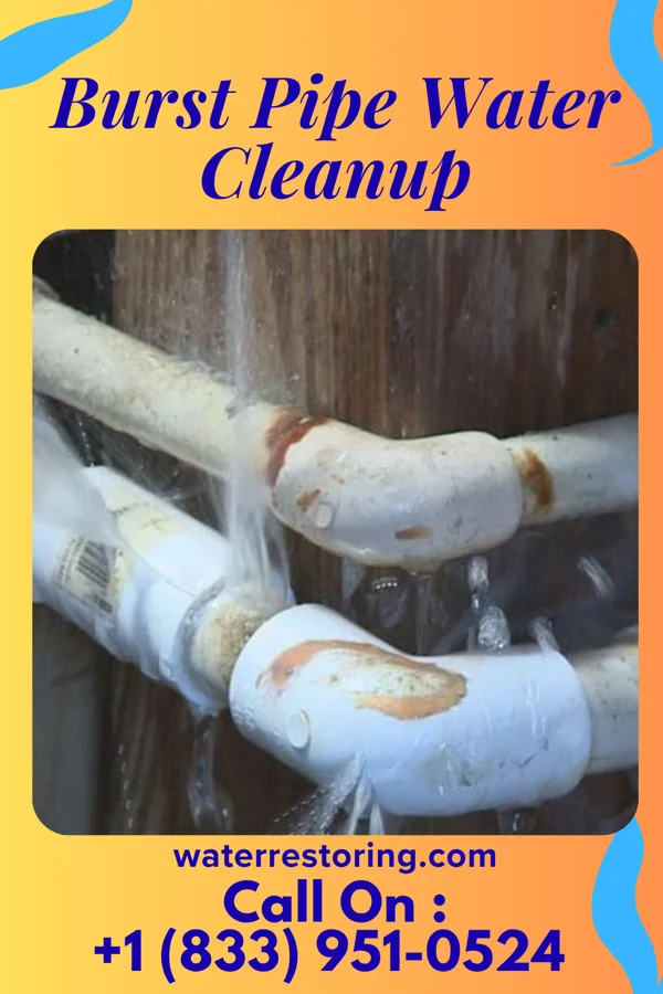 Burst Pipe Water Cleanup in Belington, WV