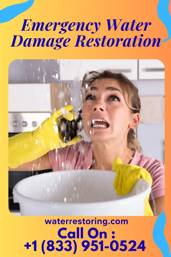Emergency Water Damage Restoration in Belington, WV