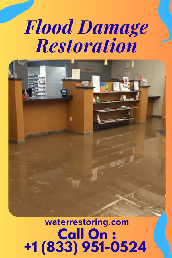Flood Damage Restoration in Belington, WV