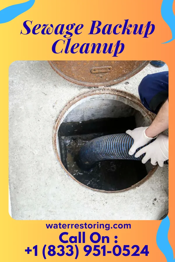 Sewage Backup Cleanup in Belington, WV